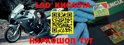 шишки Обь