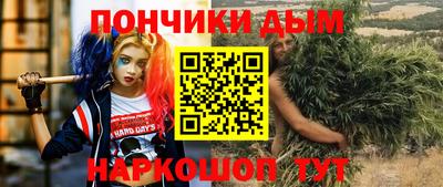 шишки Обь