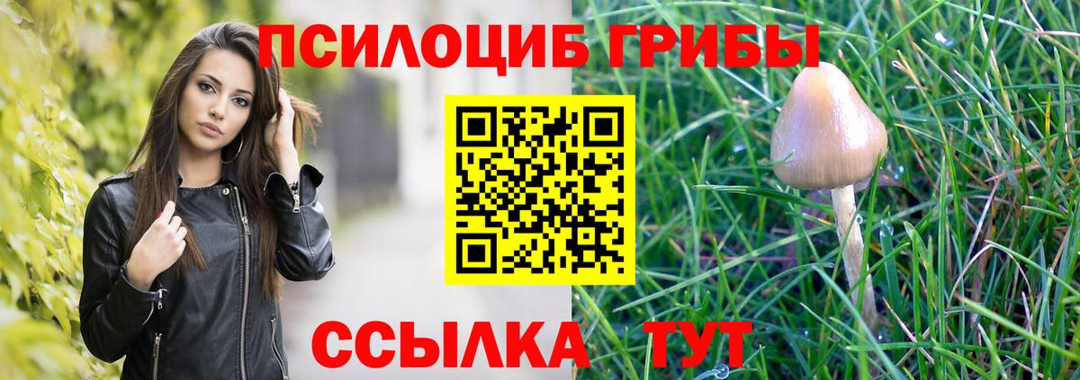 Псилоцибиновые грибы Cubensis  купить закладку  Галлюциногенные грибы MAGIC MUSHROOMS  Учалы  Вход с VPN 