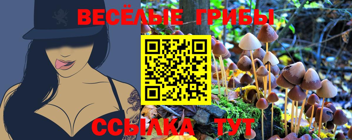 Галлюциногенные грибы Psilocybine cubensis Учалы